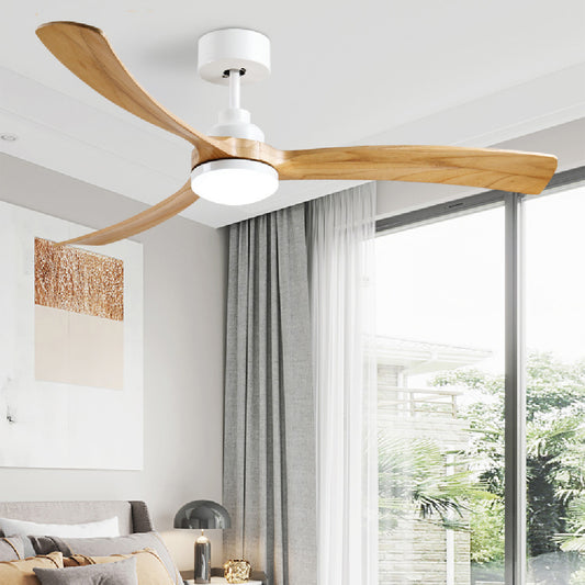 Ceiling Lamp and Fan